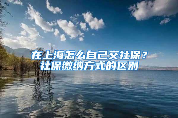 在上海怎么自己交社保？社保繳納方式的區(qū)別