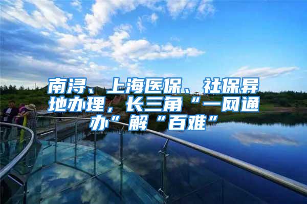 南潯、上海醫(yī)保、社保異地辦理，長三角“一網(wǎng)通辦”解“百難”