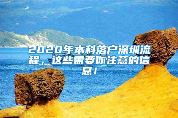 2020年本科落戶深圳流程，這些需要你注意的信息！