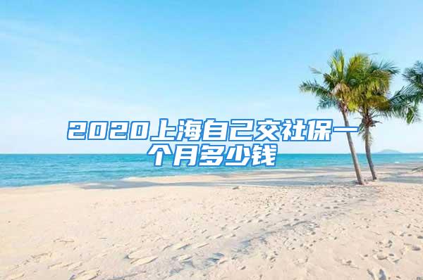 2020上海自己交社保一個月多少錢