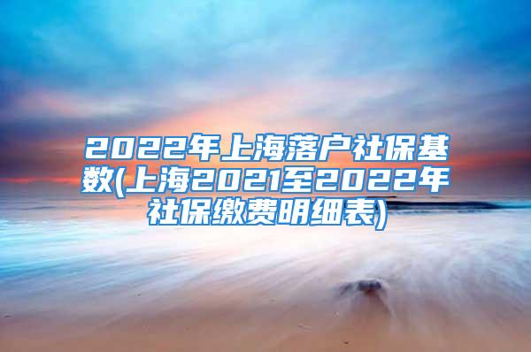 2022年上海落戶(hù)社?；鶖?shù)(上海2021至2022年社保繳費(fèi)明細(xì)表)