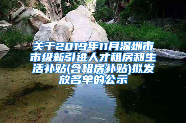 關(guān)于2019年11月深圳市市級(jí)新引進(jìn)人才租房和生活補(bǔ)貼(含租房補(bǔ)貼)擬發(fā)放名單的公示