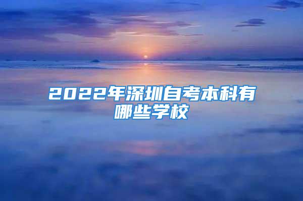 2022年深圳自考本科有哪些學(xué)校