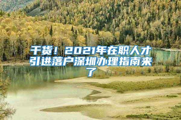 干貨！2021年在職人才引進落戶深圳辦理指南來了