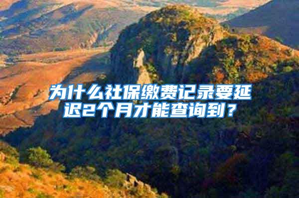 為什么社保繳費(fèi)記錄要延遲2個(gè)月才能查詢到？