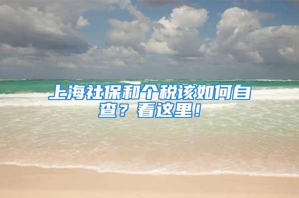 上海社保和個稅該如何自查？看這里！