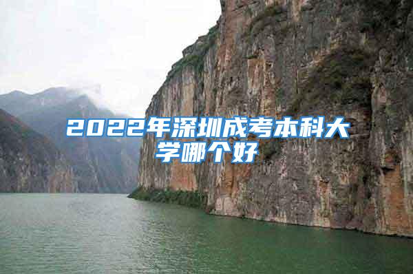 2022年深圳成考本科大學哪個好