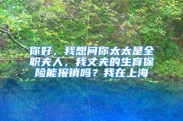 你好，我想問你太太是全職夫人，我丈夫的生育保險能報銷嗎？我在上海