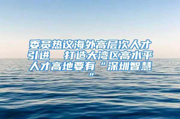 委員熱議海外高層次人才引進  打造大灣區(qū)高水平人才高地要有“深圳智慧”