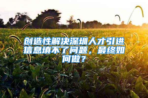 創(chuàng)造性解決深圳人才引進(jìn)信息填不了問題，最終如何做？