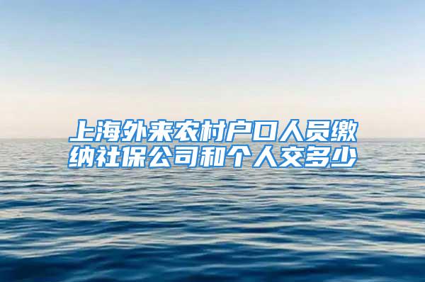 上海外來農(nóng)村戶口人員繳納社保公司和個(gè)人交多少