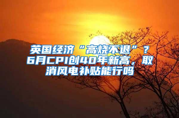 英國經(jīng)濟“高燒不退”？6月CPI創(chuàng)40年新高，取消風電補貼能行嗎