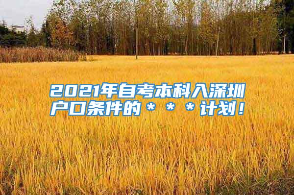 2021年自考本科入深圳戶口條件的＊＊＊計(jì)劃！