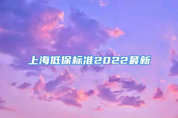 上海低保標(biāo)準(zhǔn)2022最新