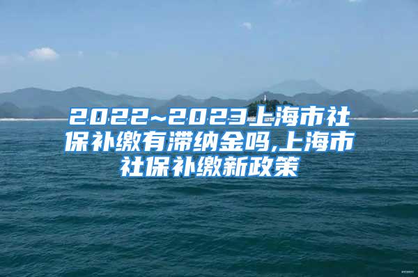 2022~2023上海市社保補繳有滯納金嗎,上海市社保補繳新政策