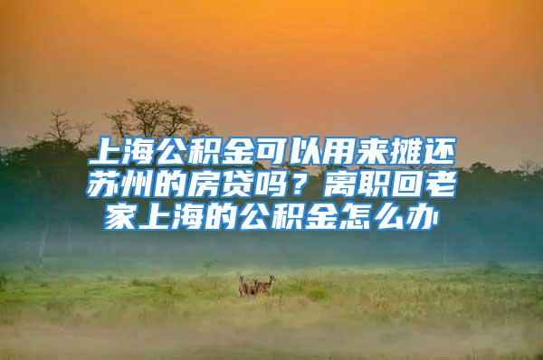 上海公積金可以用來攤還蘇州的房貸嗎？離職回老家上海的公積金怎么辦