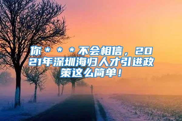 你＊＊＊不會相信，2021年深圳海歸人才引進(jìn)政策這么簡單！