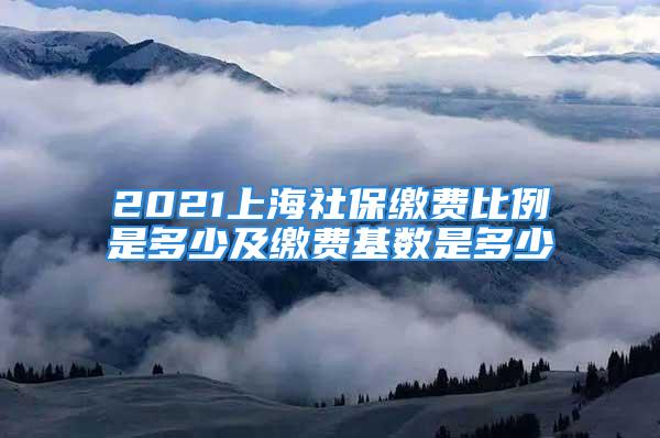 2021上海社保繳費比例是多少及繳費基數(shù)是多少