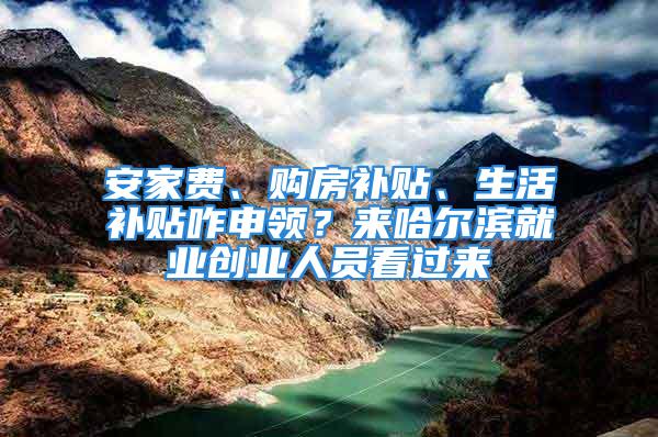 安家費(fèi)、購房補(bǔ)貼、生活補(bǔ)貼咋申領(lǐng)？來哈爾濱就業(yè)創(chuàng)業(yè)人員看過來