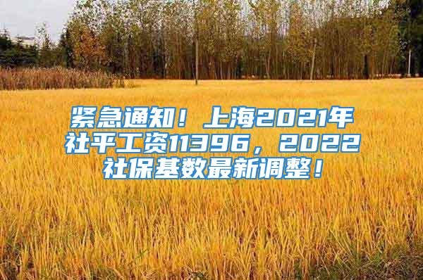 緊急通知！上海2021年社平工資11396，2022社?；鶖?shù)最新調(diào)整！