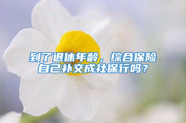 到了退休年齡，綜合保險自己補交成社保行嗎？