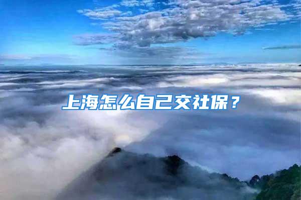 上海怎么自己交社保？