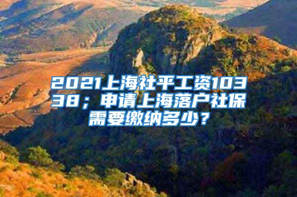 2021上海社平工資10338；申請上海落戶社保需要繳納多少？