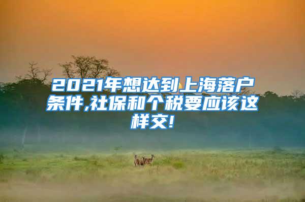 2021年想達(dá)到上海落戶條件,社保和個稅要應(yīng)該這樣交!