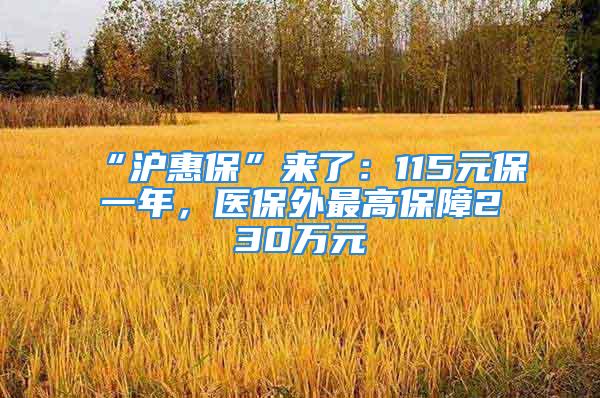 “滬惠?！眮砹耍?15元保一年，醫(yī)保外最高保障230萬元