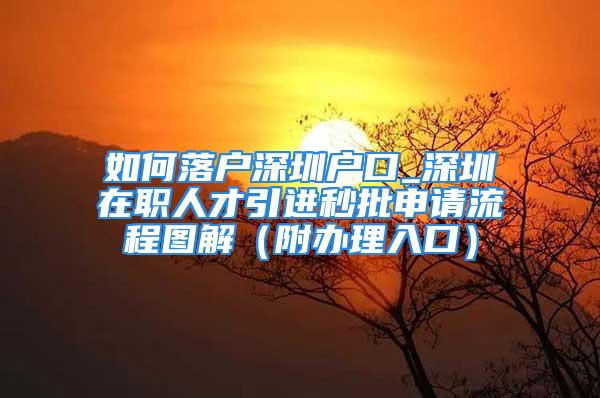 如何落戶深圳戶口_深圳在職人才引進(jìn)秒批申請(qǐng)流程圖解（附辦理入口）