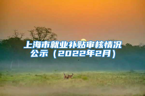 上海市就業(yè)補(bǔ)貼審核情況公示（2022年2月）