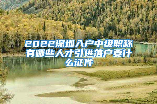 2022深圳入戶中級(jí)職稱有哪些人才引進(jìn)落戶要什么證件