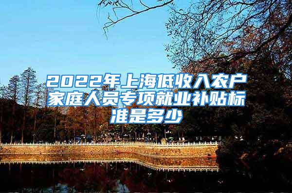 2022年上海低收入農(nóng)戶家庭人員專項就業(yè)補貼標準是多少