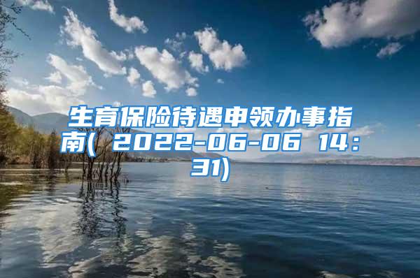 生育保險(xiǎn)待遇申領(lǐng)辦事指南( 2022-06-06 14：31)