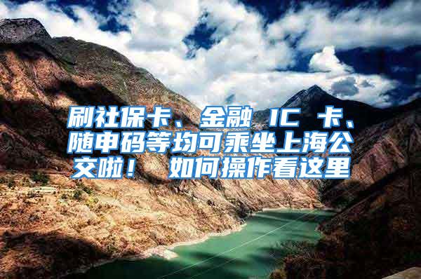 刷社保卡、金融 IC 卡、隨申碼等均可乘坐上海公交啦！ 如何操作看這里