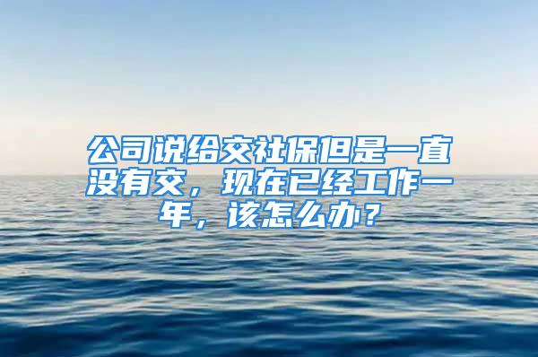 公司說給交社保但是一直沒有交，現(xiàn)在已經(jīng)工作一年，該怎么辦？