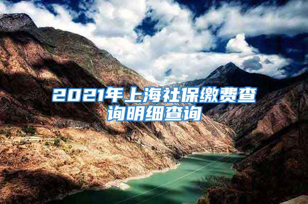 2021年上海社保繳費(fèi)查詢明細(xì)查詢