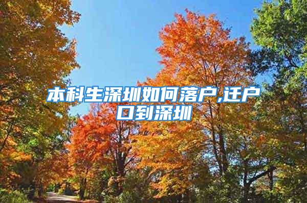 本科生深圳如何落戶,遷戶口到深圳