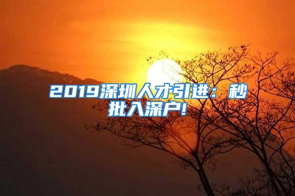 2019深圳人才引進(jìn)：秒批入深戶!