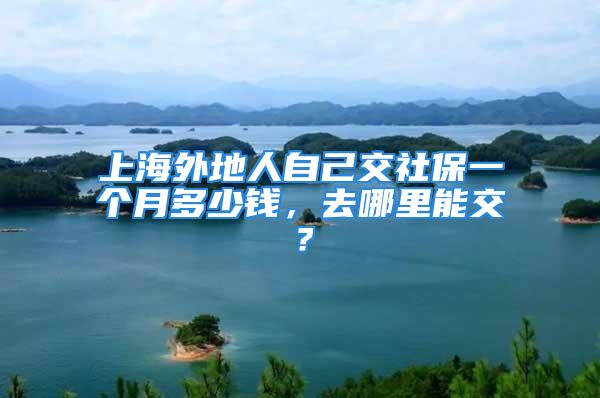 上海外地人自己交社保一個(gè)月多少錢，去哪里能交？