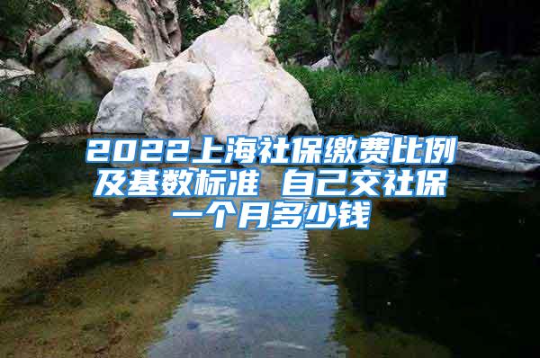 2022上海社保繳費比例及基數(shù)標(biāo)準(zhǔn) 自己交社保一個月多少錢