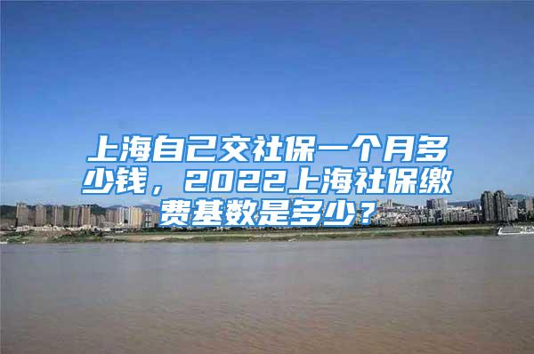 上海自己交社保一個(gè)月多少錢，2022上海社保繳費(fèi)基數(shù)是多少？