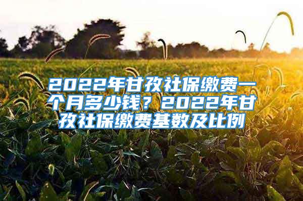 2022年甘孜社保繳費(fèi)一個(gè)月多少錢？2022年甘孜社保繳費(fèi)基數(shù)及比例