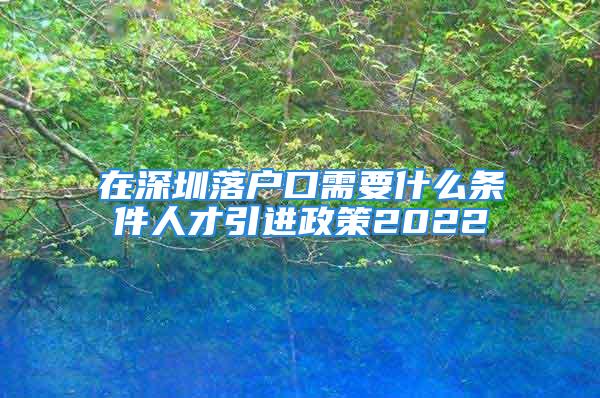 在深圳落戶口需要什么條件人才引進政策2022