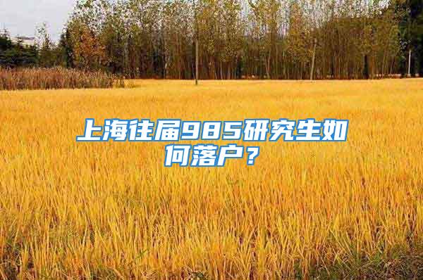 上海往屆985研究生如何落戶？