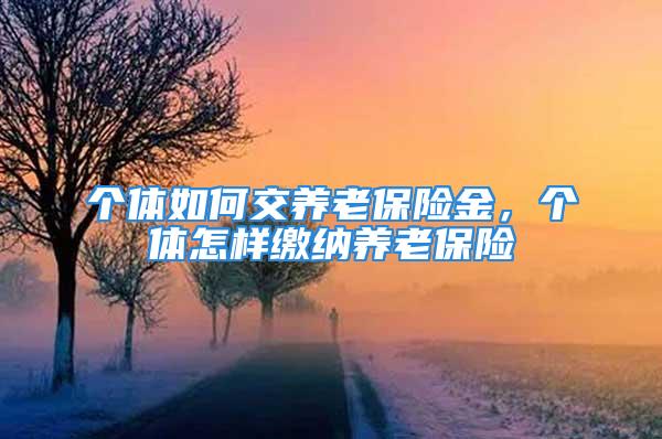 個體如何交養(yǎng)老保險金，個體怎樣繳納養(yǎng)老保險