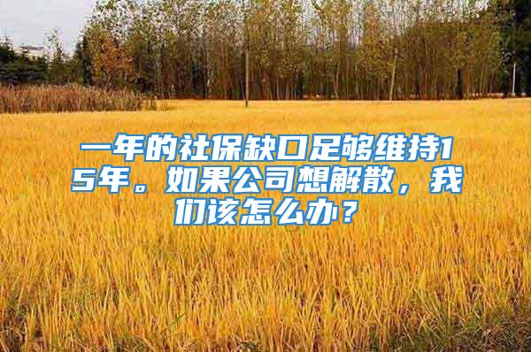 一年的社保缺口足夠維持15年。如果公司想解散，我們?cè)撛趺崔k？