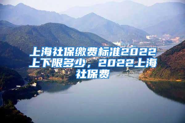 上海社保繳費(fèi)標(biāo)準(zhǔn)2022上下限多少，2022上海社保費(fèi)