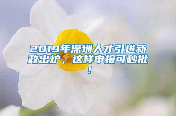 2019年深圳人才引進(jìn)新政出爐，這樣申報可秒批！