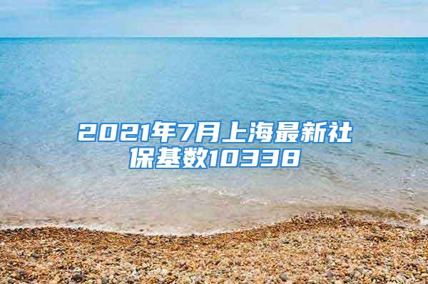 2021年7月上海最新社?；鶖?shù)10338